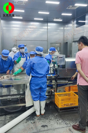 廣東中山某大型水產加工設備落成現場！